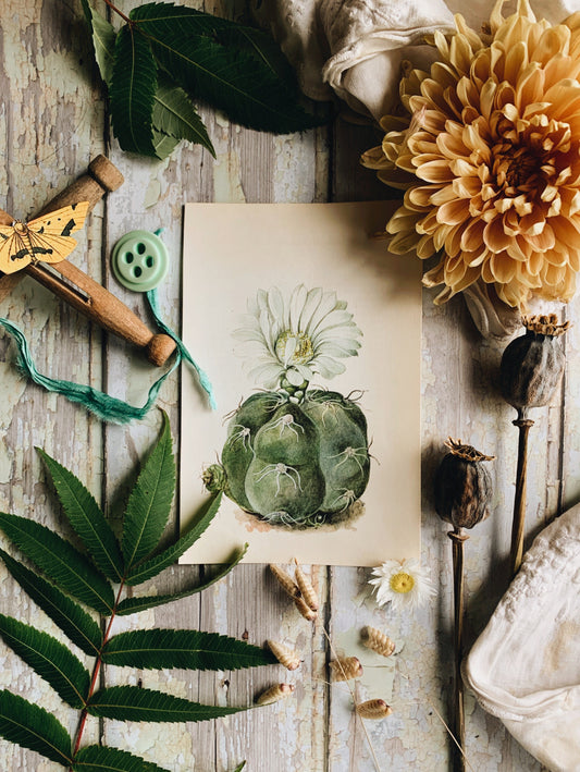 Vintage 1970’s Cactus Bookplate Print