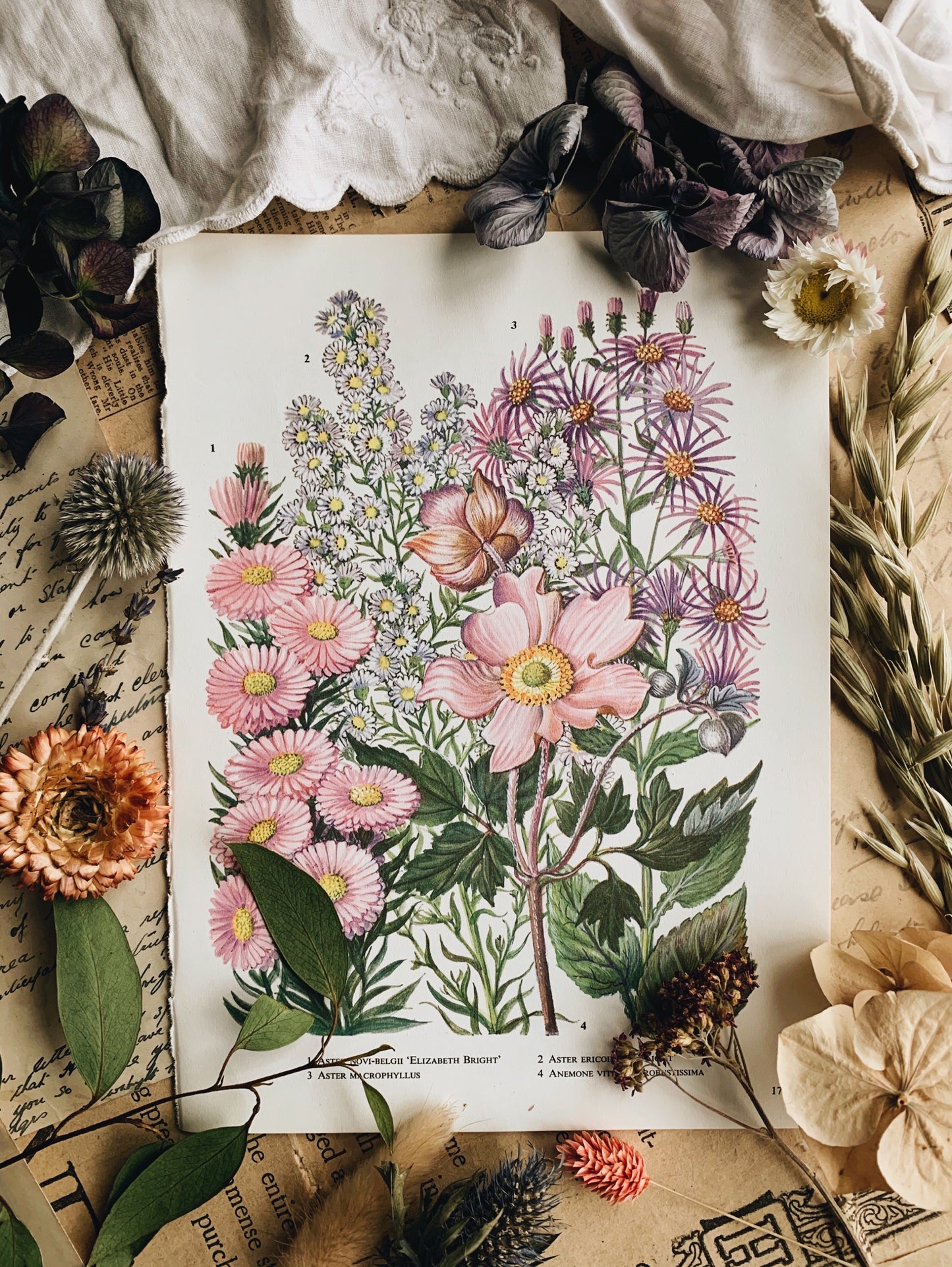 Vintage 1960’s Garden Flower Bookplate ~ Elizabeth bright