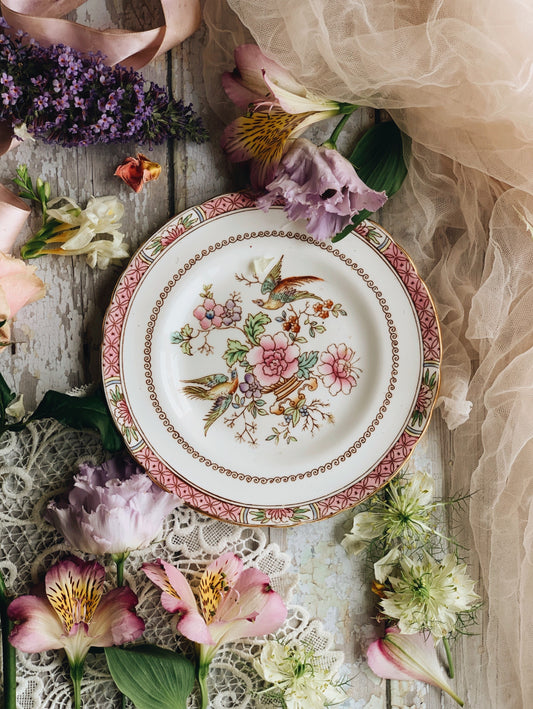 Antique Tuscan Pink Paradise Bird Plate