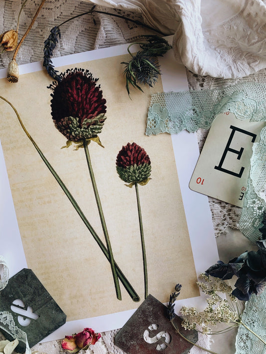 Vintage Style Floral Print