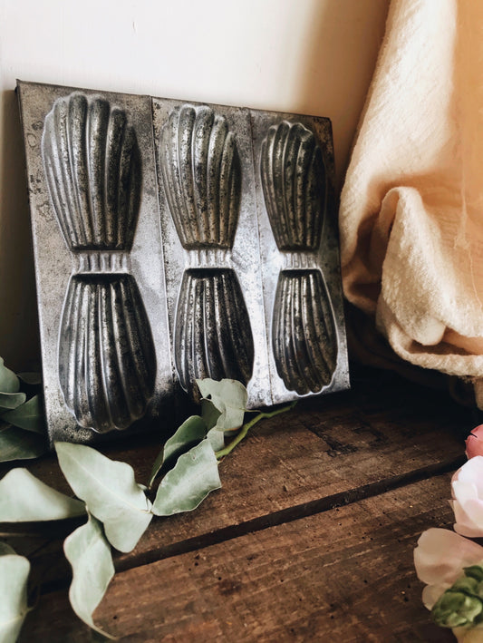 Vintage French Madeleine Moulds - Stone & Sage 