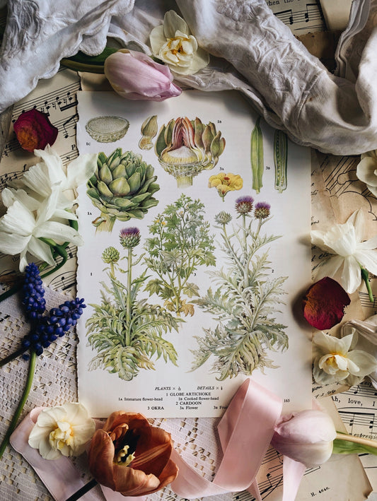 Vintage 1960’s Artichoke Bookplate