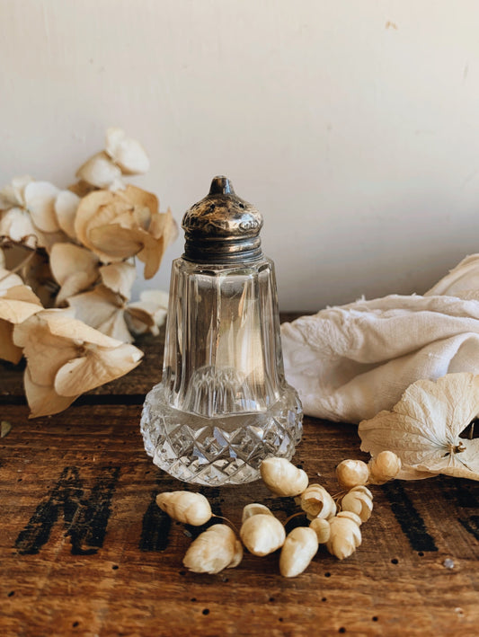 Antique Victorian Salt Shaker