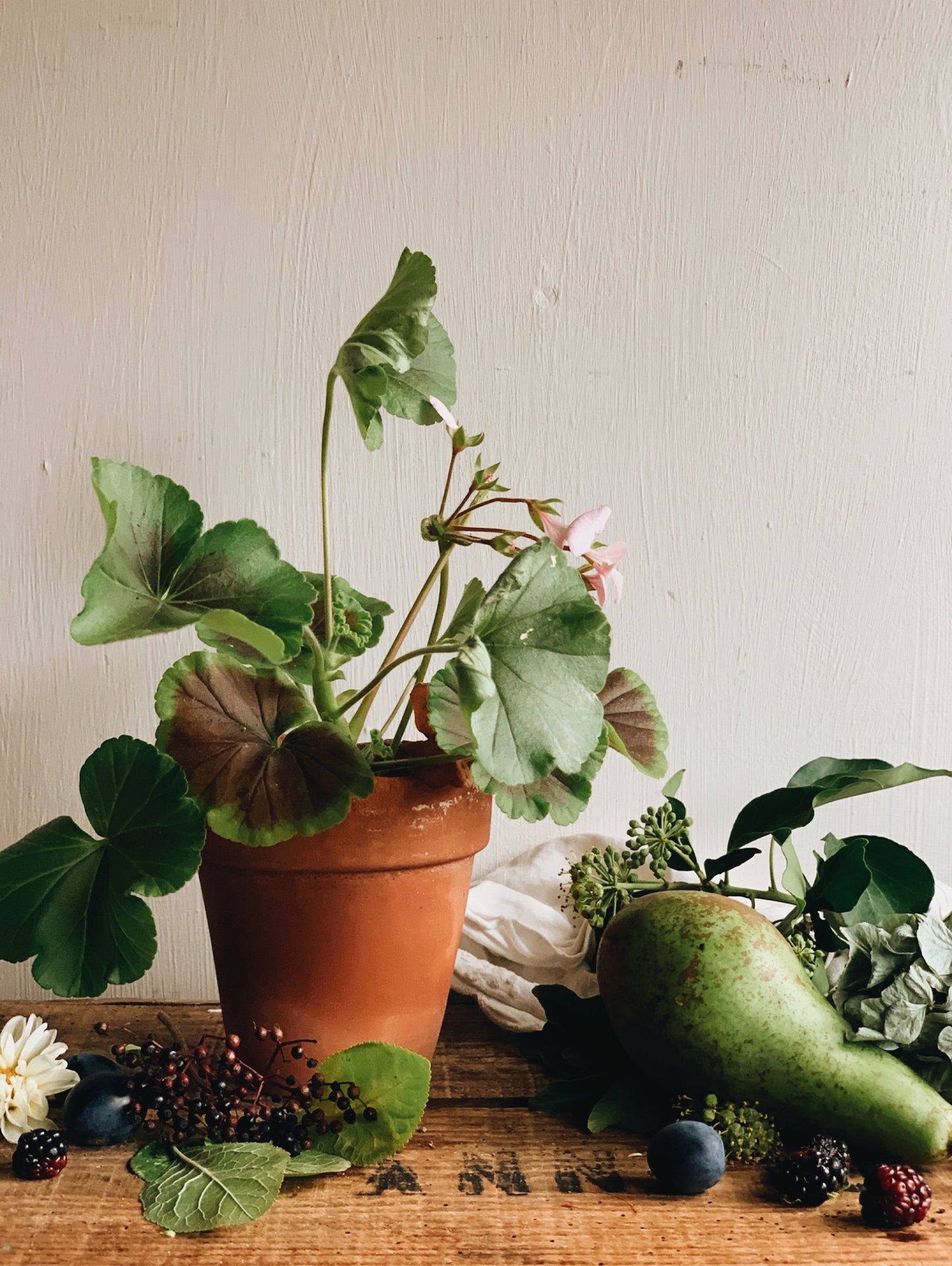 Antique Medium Terracotta Pot