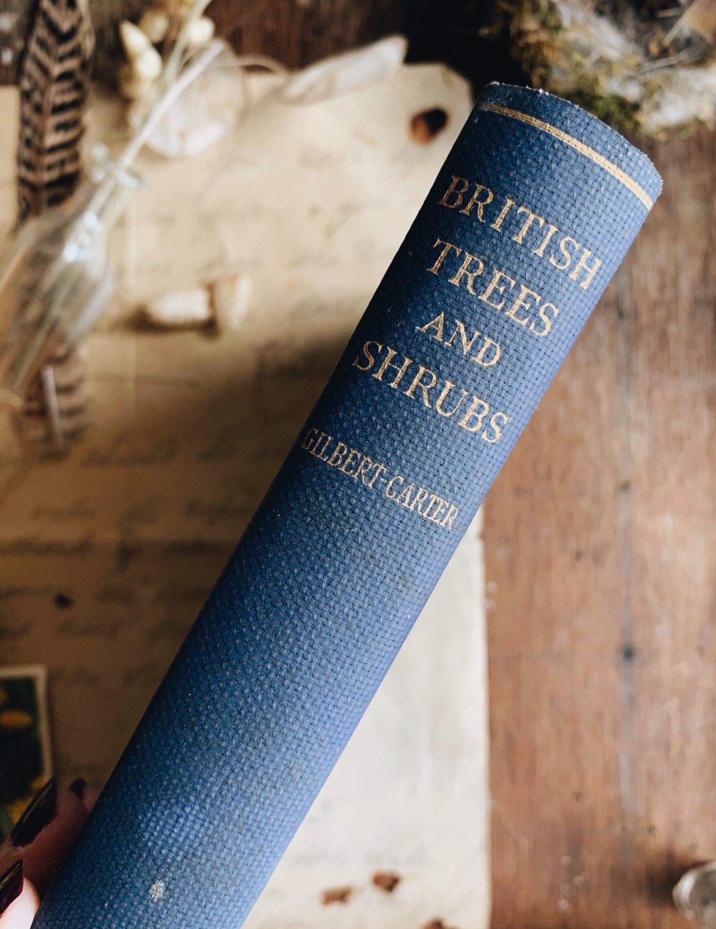 Vintage 1936 “British Trees & Shrubs” Gilbert Carter