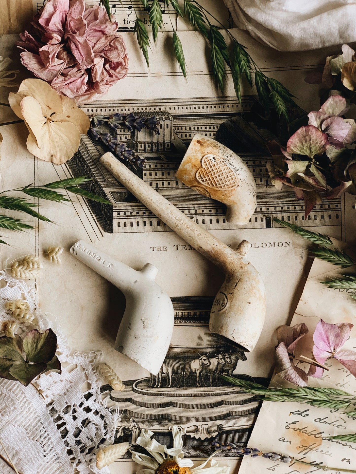Three Antique Victorian Clay Pipes