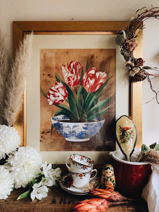 Large Vintage Framed Tulipa Print (UK shipping only)