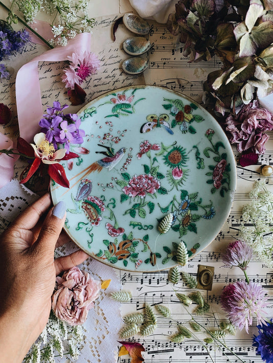 Antique Hand~painted Paradise Birds & Blooms Plate