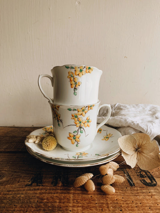 Vintage Foley Yellow Teacup and Saucer
