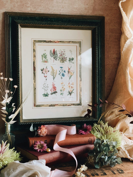 Vintage Miniature Botanicals Framed (green) UK SHIPPING ONLY