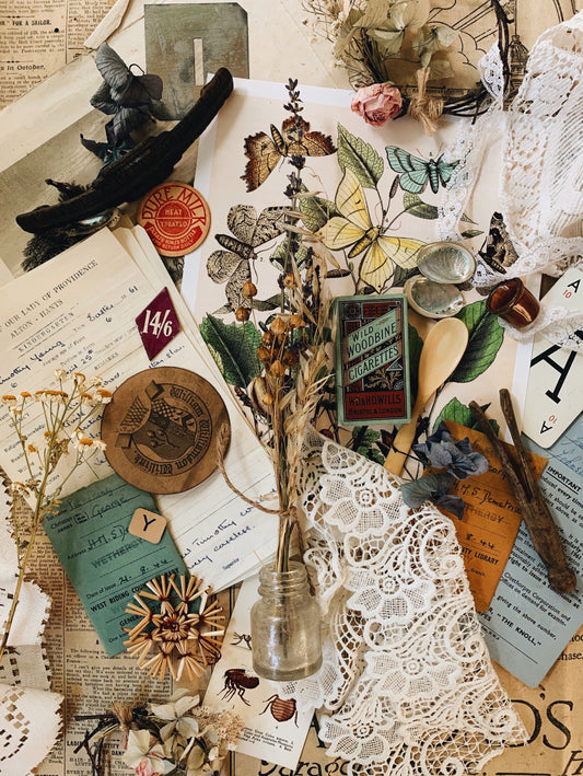 S&S signature vintage Ephemera & styling prop collections ~ Butterfly