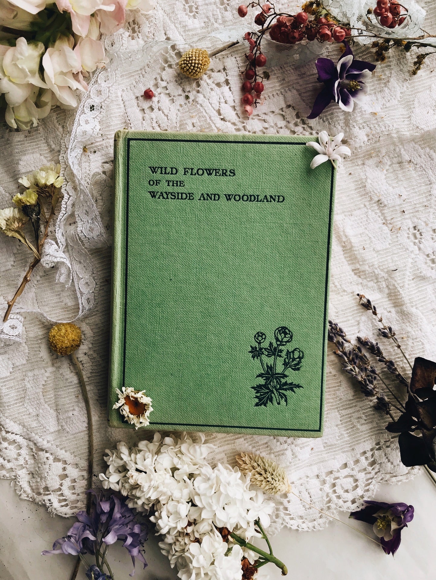 Vintage Wild Flowers of the Wayside & Woodland