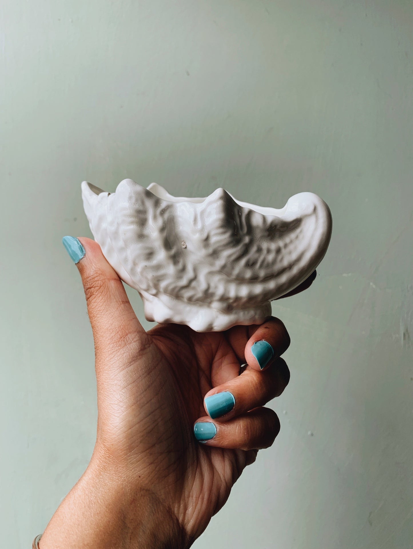 Vintage Coalport Shell Planter