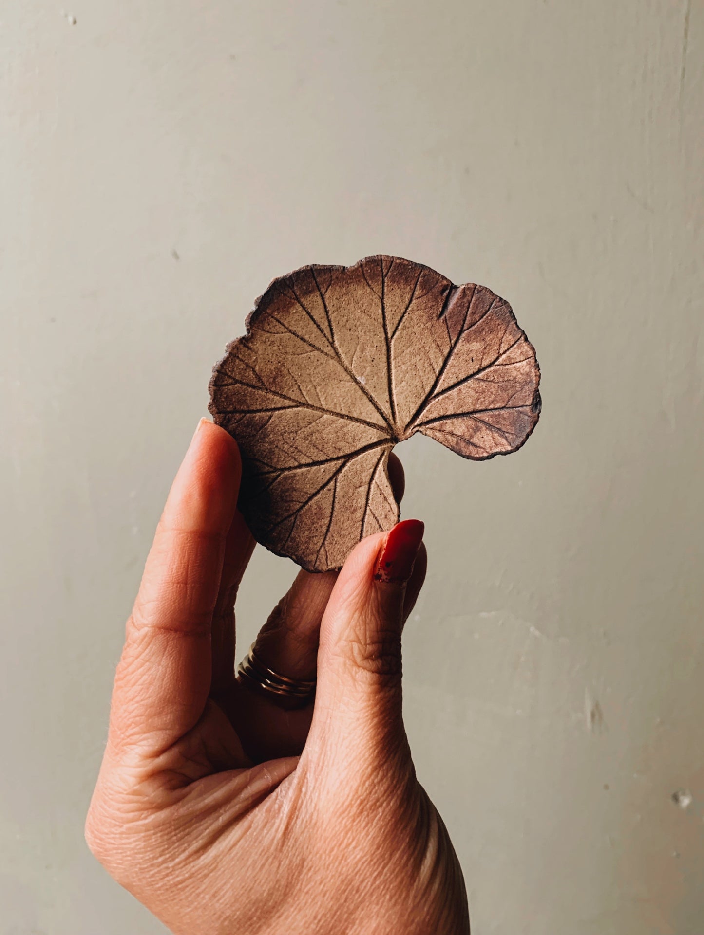 A Pair of Ceramic Leaf Print Dishes