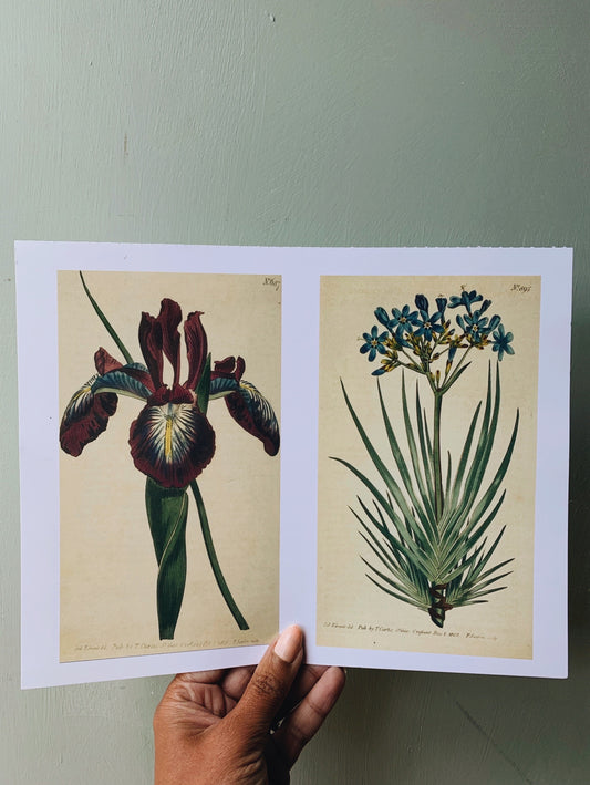 Vintage Style Floral Print