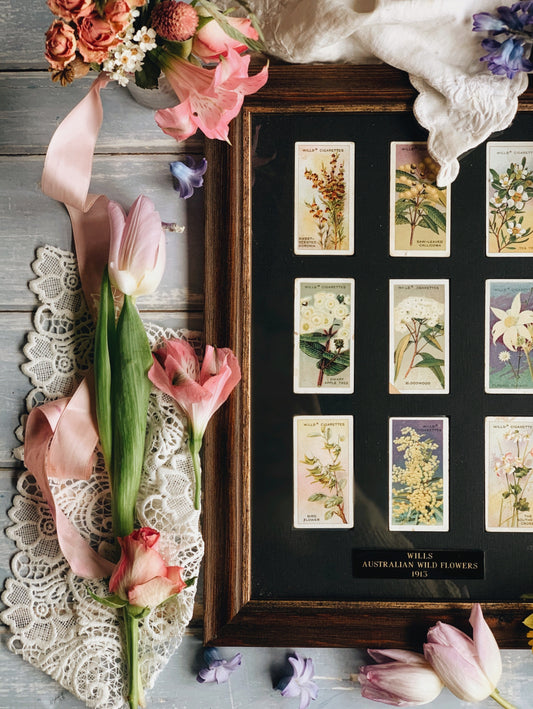 Vintage 1913 Australian Flower Collectible Cards (UK SHIPPING ONLY)