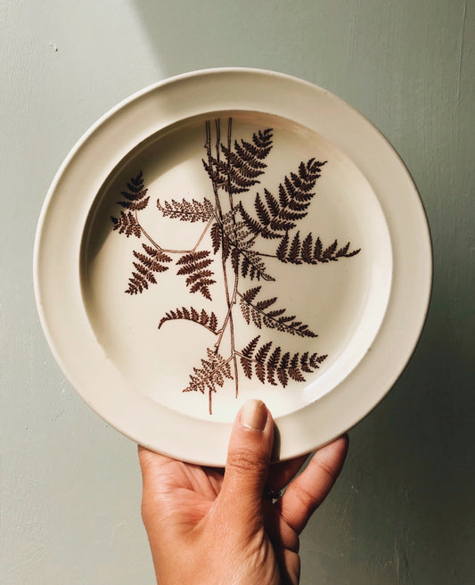 Vintage Royal Victoria Fern Plate