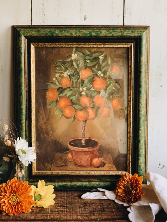 Vintage Orange Tree Print Framed