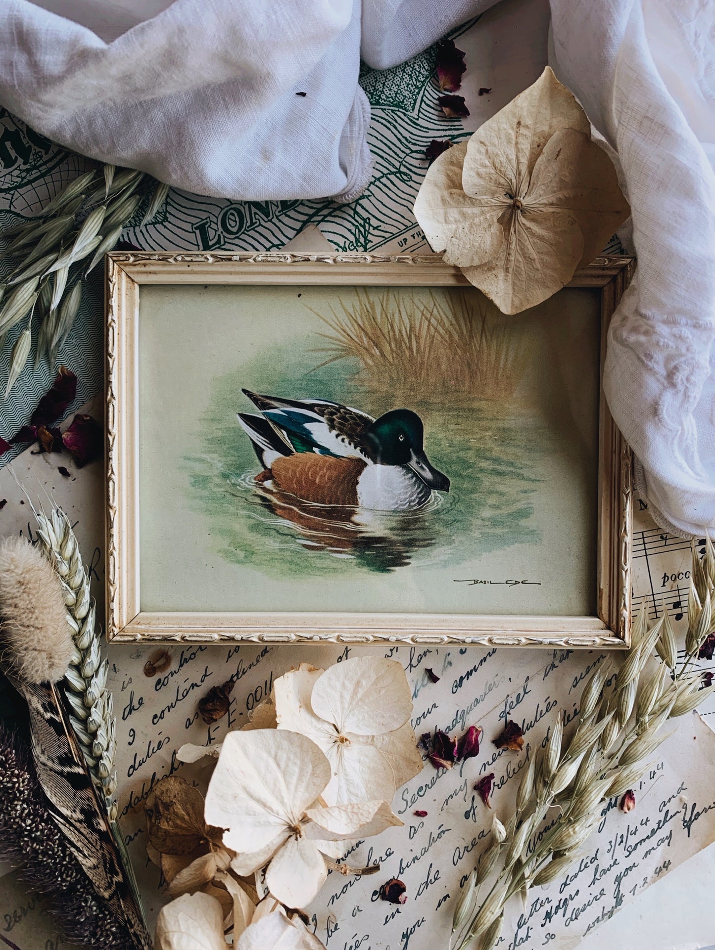 Vintage Duck Print Framed