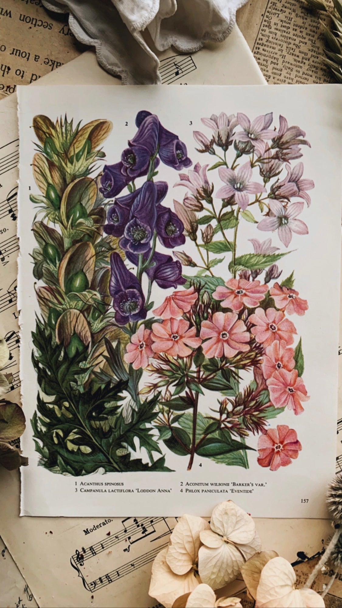 Vintage 1960’s Floral Bookplate ~ Bakers Var