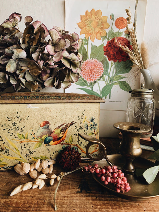 Vintage Bird Tea Tin