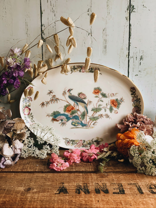 Vintage Wedgwood Paradise Bird Platter Dish