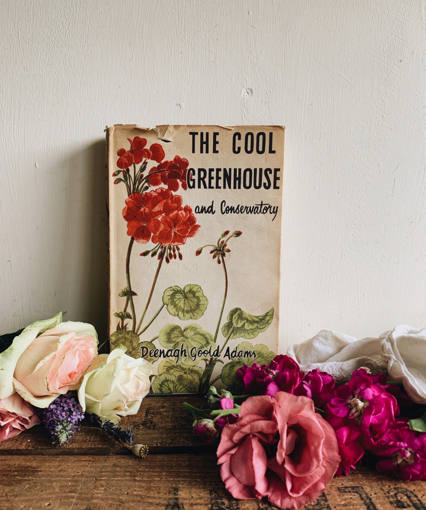Vintage 1950’s The Cool Greenhouse Book