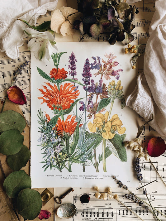 Vintage 1960’s Floral Bookplate ~ Lavender