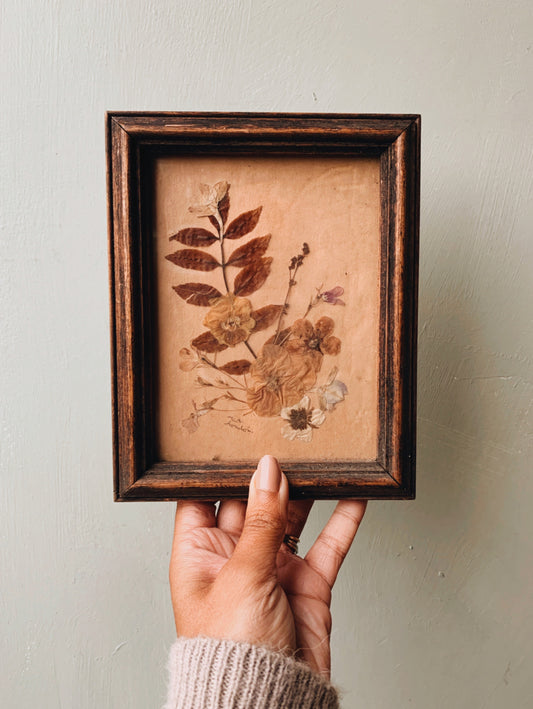 Antique Pressed Dried Blooms Framed