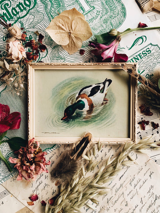Vintage Duck Print Framed