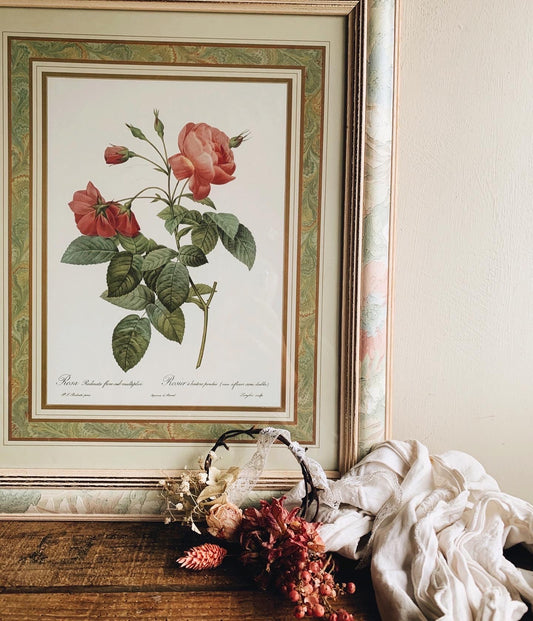 Vintage Large Rosa P J Redoute Framed (UK shipping only)
