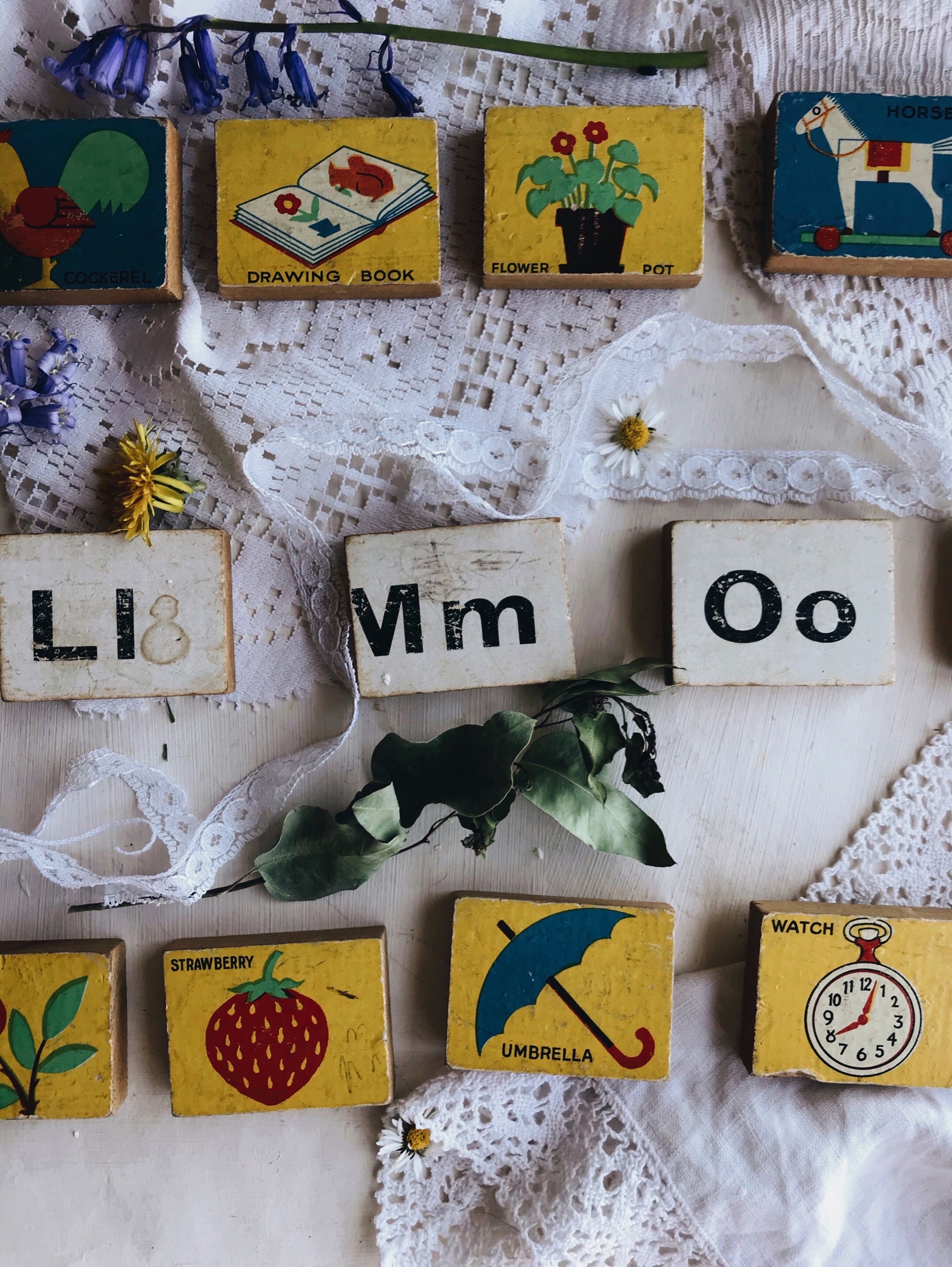 Retro Wooden Alphabet and Illustrations (sold separately) - Stone & Sage 