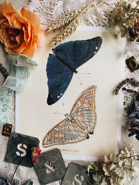 Vintage Style Butterfly Print