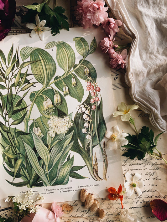 Vintage 1960’s Floral Bookplate ~ Lily of the Valley