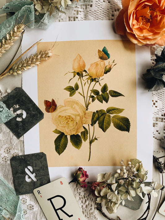 Vintage Style Butterfly & Rose Print