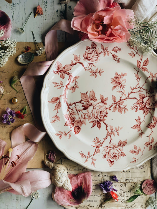Vintage Staffordshire Pink Rose Plate