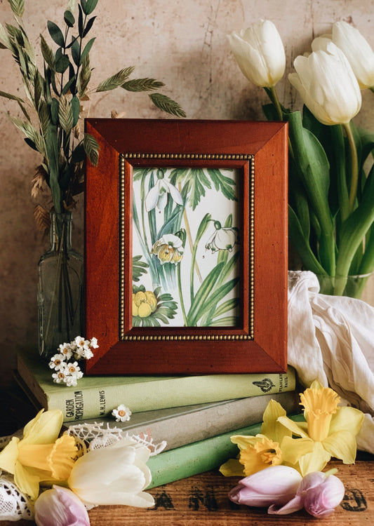 Vintage Wooden Frame with 1960’s Snowdrop Bookplate