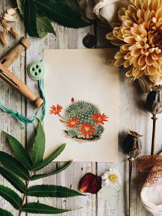Vintage 1970’s Cactus Bookplate Print