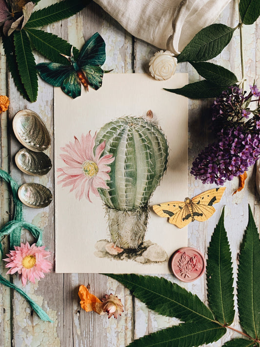 Vintage 1970’s Cactus Bookplate Print