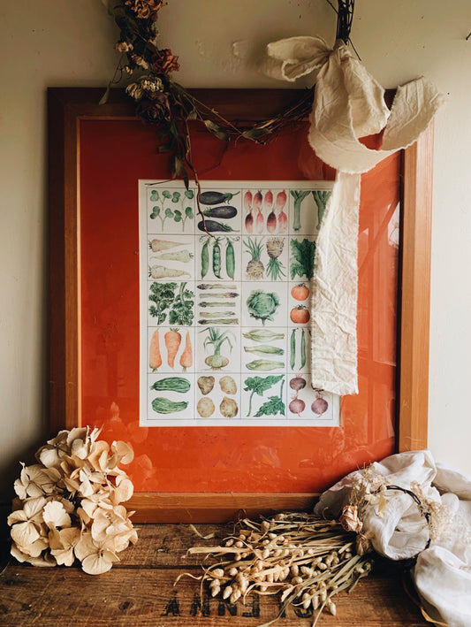 Rustic Fine Art Farm Vegetable Illustrations Framed  (UK shipping only)