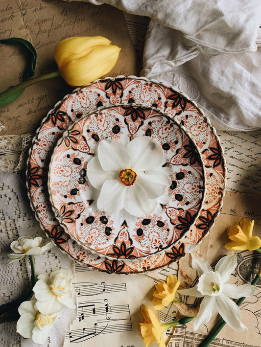 Antique Hand~engraved Plates (various sizes)