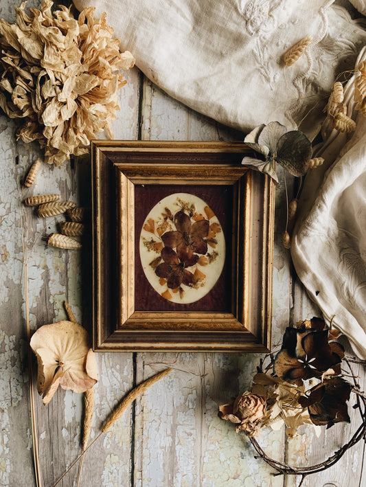 Antique Pressed Dried Blooms Framed