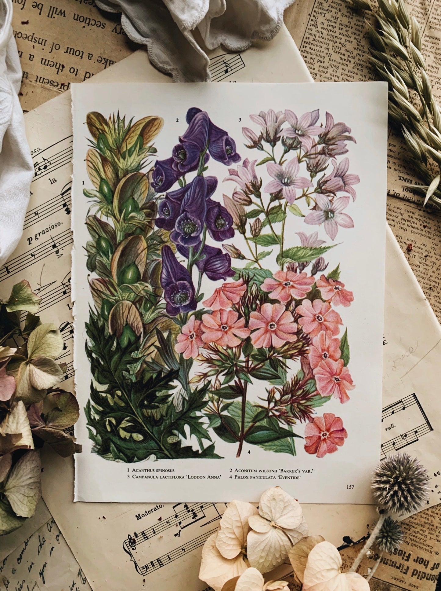 Vintage 1960’s Floral Bookplate ~ Bakers Var