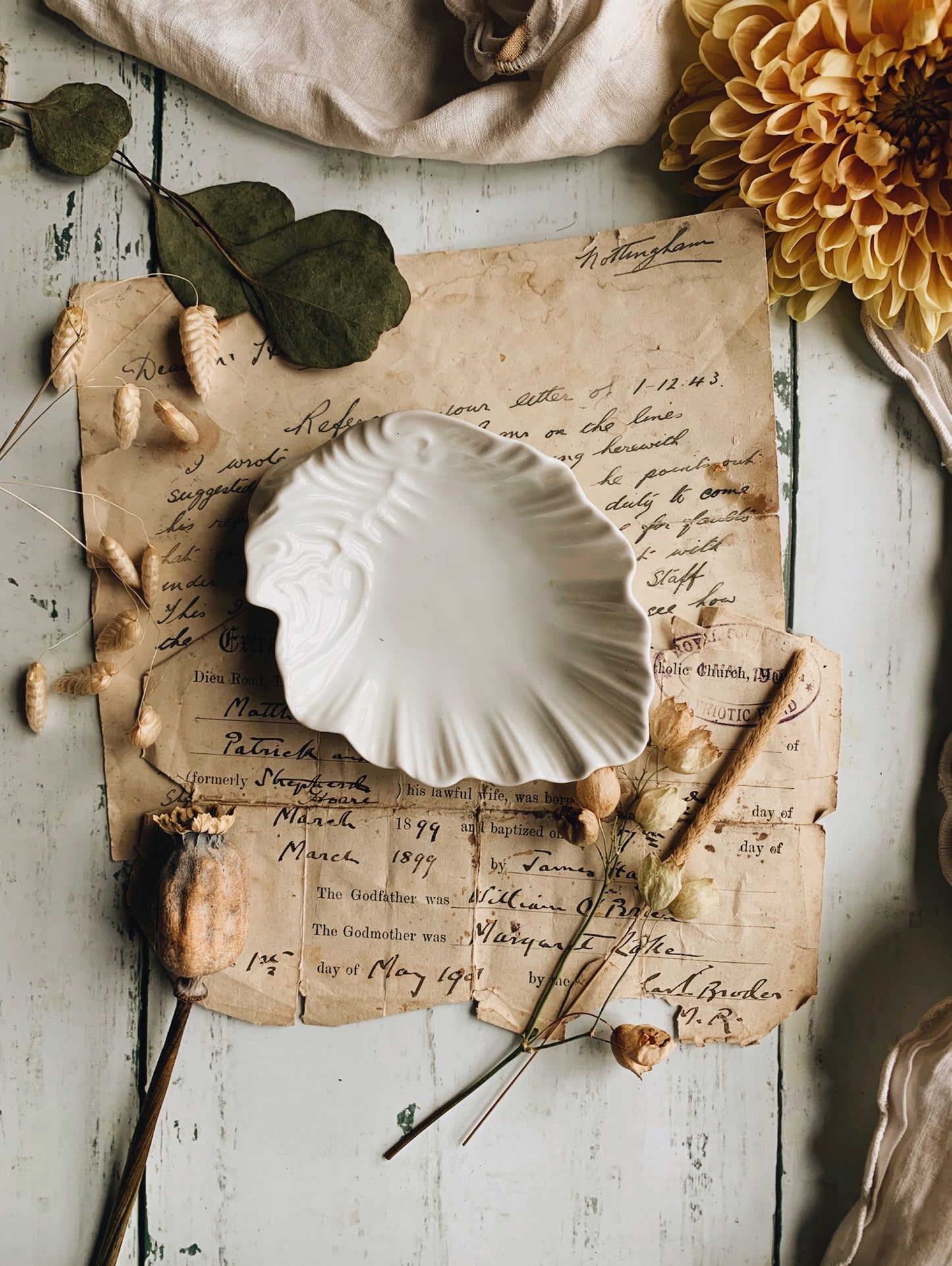 Vintage Shell Dish