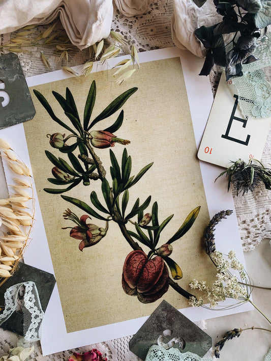 Vintage Style Floral Print