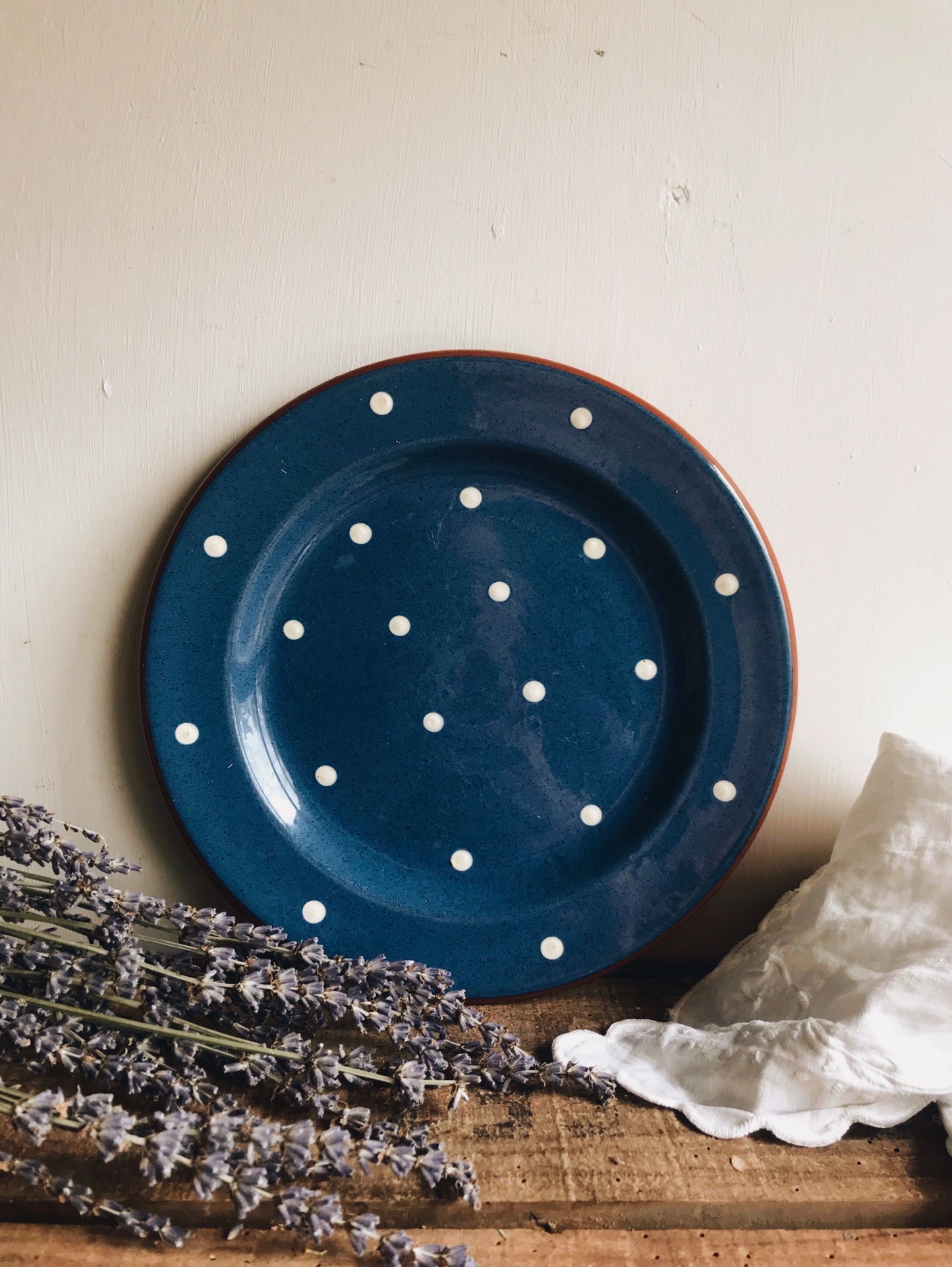 Hand~painted Spotty Plate
