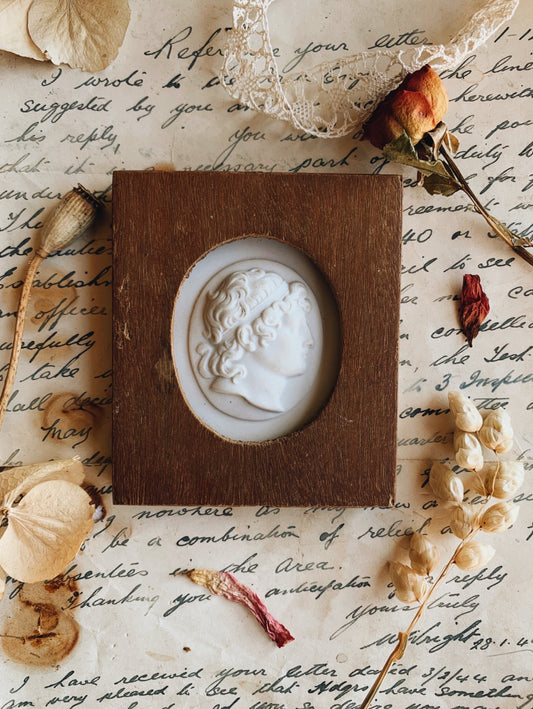 Vintage Ceramic Cameo Head Framed