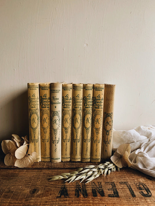 Antique Set of Nine ~ Pierre De Coulevain books (late 1800’s)