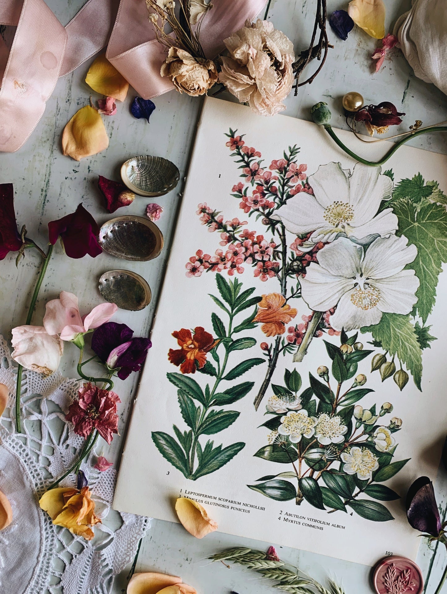 Vintage 1960’s Myrtus Floral Bookplate