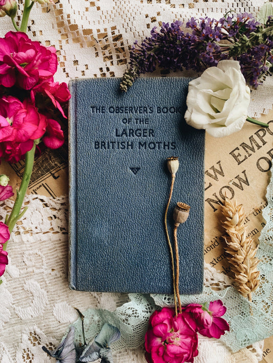 Vintage Large British Moths Observer